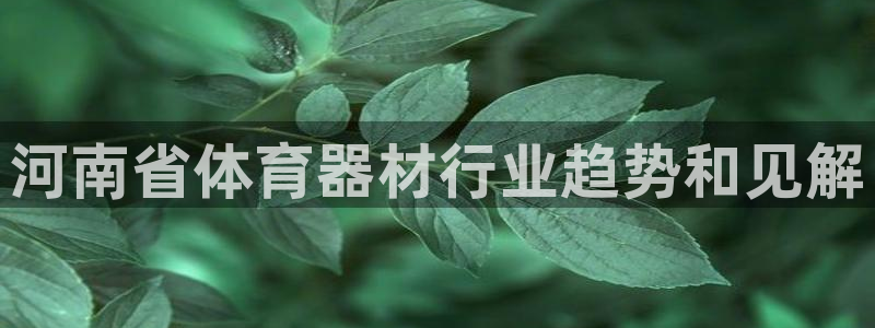 极悦平台app二维码怎么弄：河南省体育器材行业趋势和