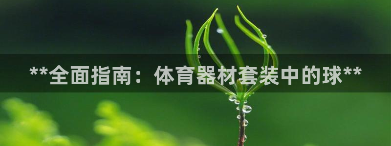 极悦官网首页登录入口：**全面指南：体育器材套装中的