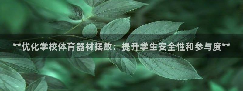 极悦平台使用教程视频：**优化学校体育器材摆放：提升