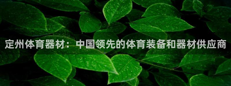 加盟极悦教育多少钱：定州体育器材：中国领先的体育装备