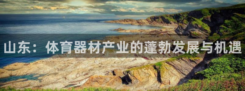 极悦平台注册太7.0.2.4.4更新内容：山东：体育