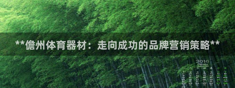 极悦平台代理怎么做：**儋州体育器材：走向成功的品牌