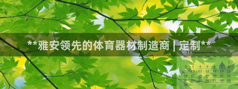 极悦平台注册官网下载：**雅安领先的体育器材制造商 