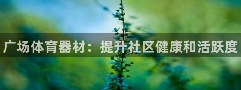 极悦娱乐百科百度:广场体育器材:提升社区健康和活跃度