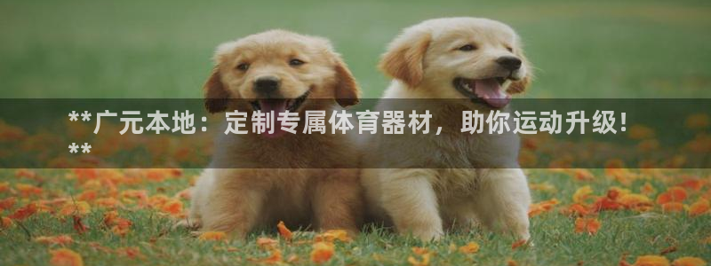 极悦平台注册:**广元本地:定制专属体育器材,助你运动升级!